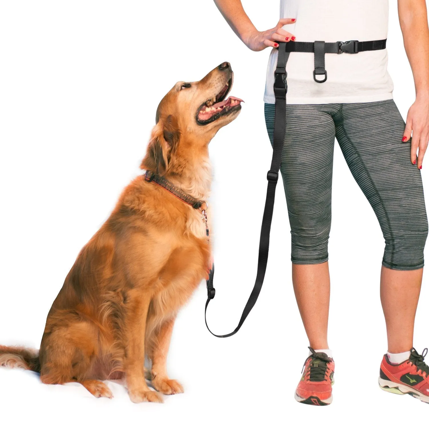 BUNDLE - Regular Dog Leash, Double Buddy   2x Lunge Busters