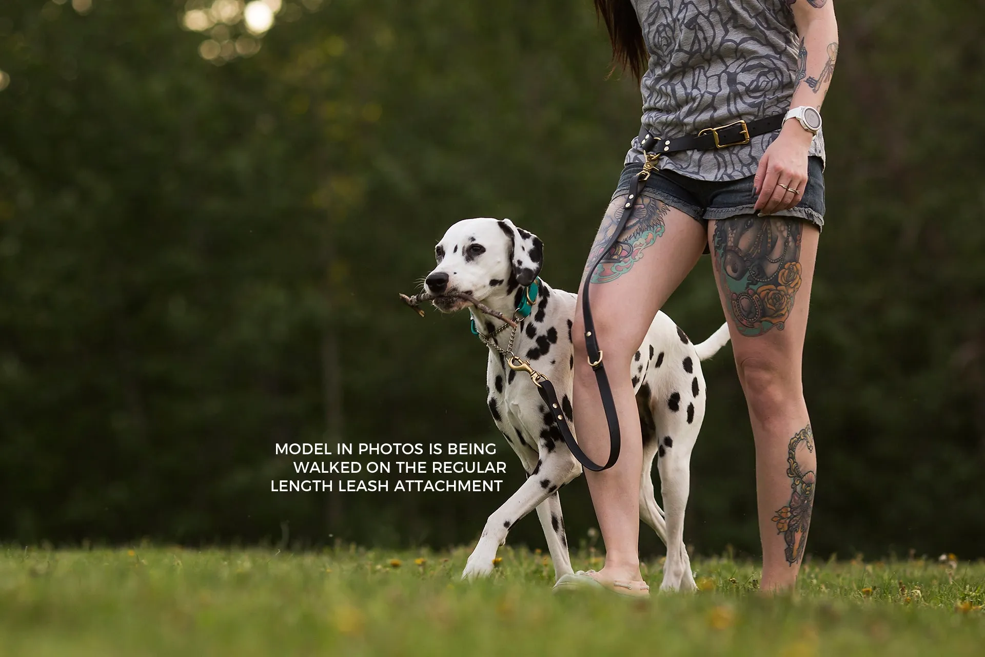 Design Your Own - Extra Leash Attachment for Waist Leash, Hands Free Convertible Biothane Leash Set