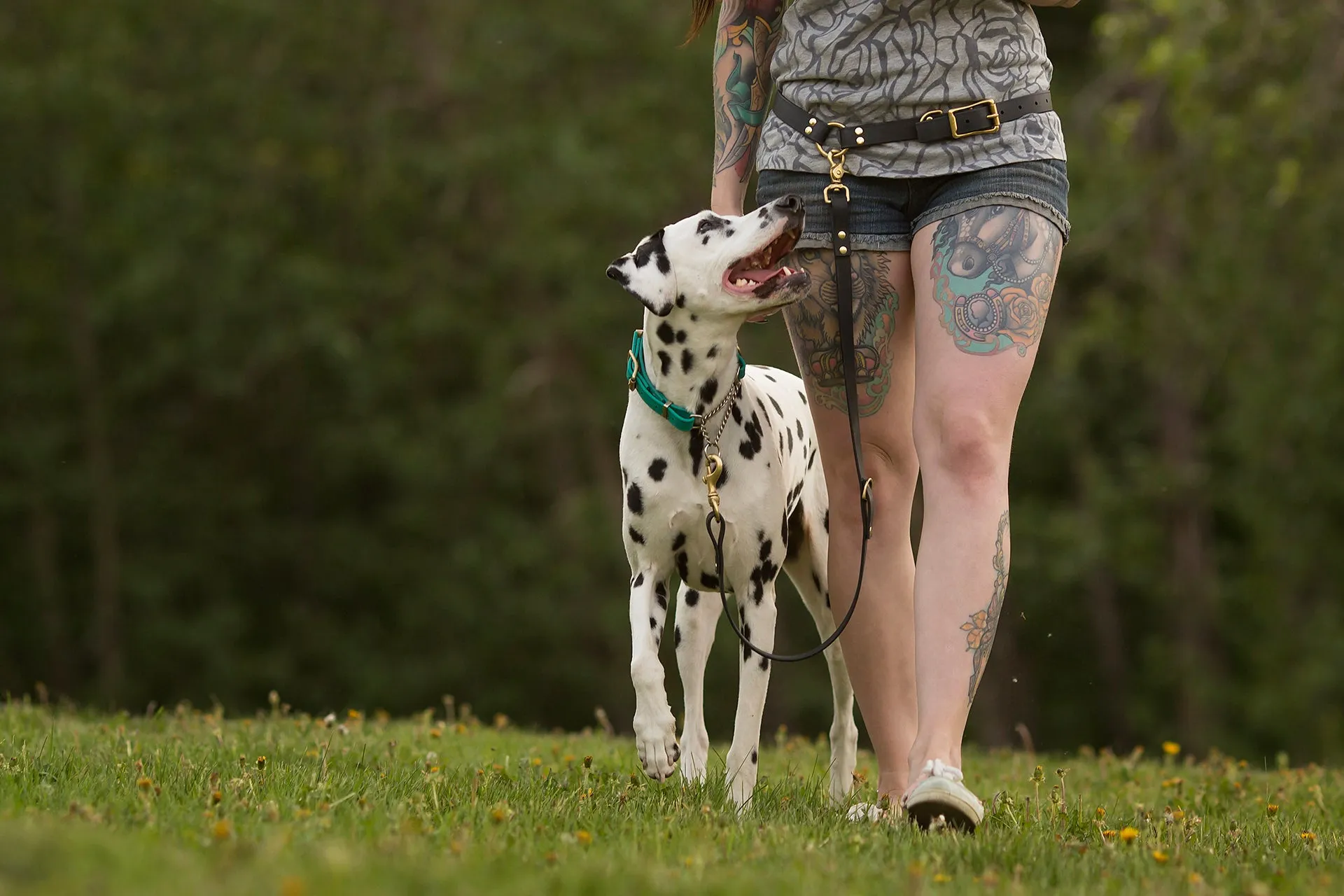 Design Your Own - Extra Leash Attachment for Waist Leash, Hands Free Convertible Biothane Leash Set