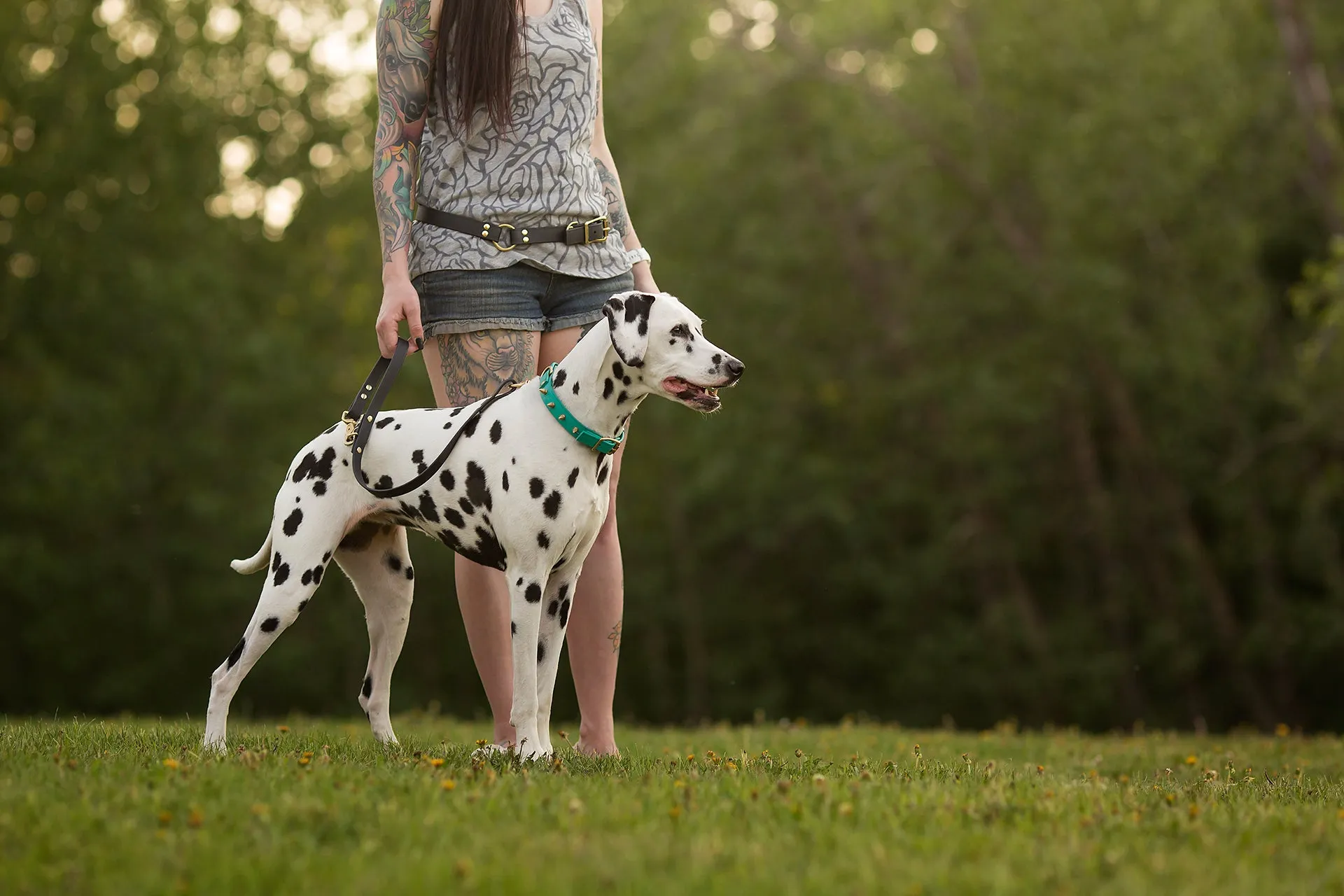 Design Your Own - Extra Leash Attachment for Waist Leash, Hands Free Convertible Biothane Leash Set