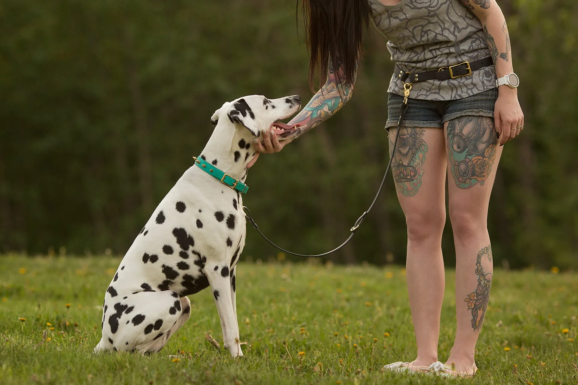 Design Your Own - Extra Leash Attachment for Waist Leash, Hands Free Convertible Biothane Leash Set