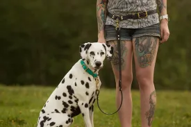 Design Your Own - Extra Leash Attachment for Waist Leash, Hands Free Convertible Biothane Leash Set