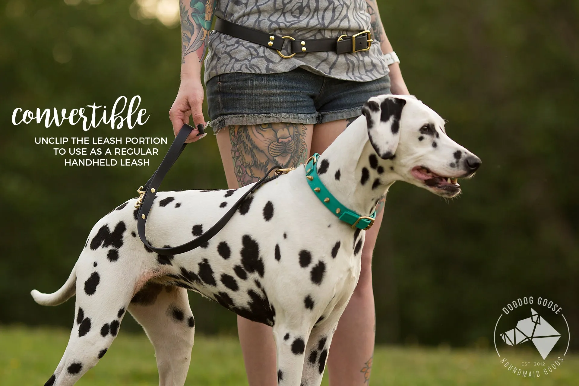 Design Your Own - Waist Leash, Hands Free Convertible Biothane Leash Set