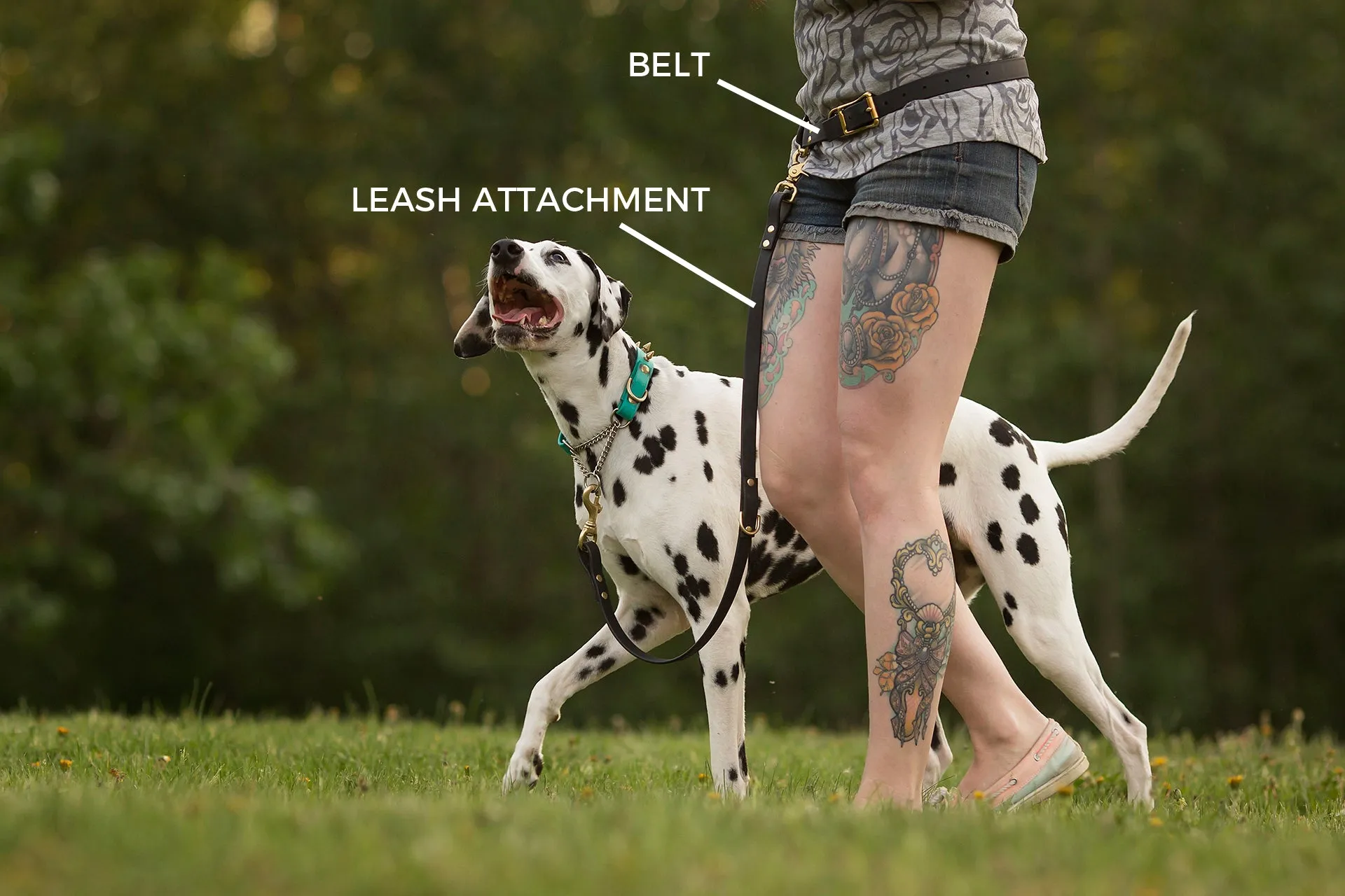 Design Your Own - Waist Leash, Hands Free Convertible Biothane Leash Set
