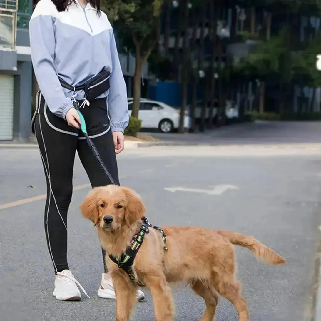 Hands-Free Dog Leash with Zipper Pouch, Dual Handles, and Bungee