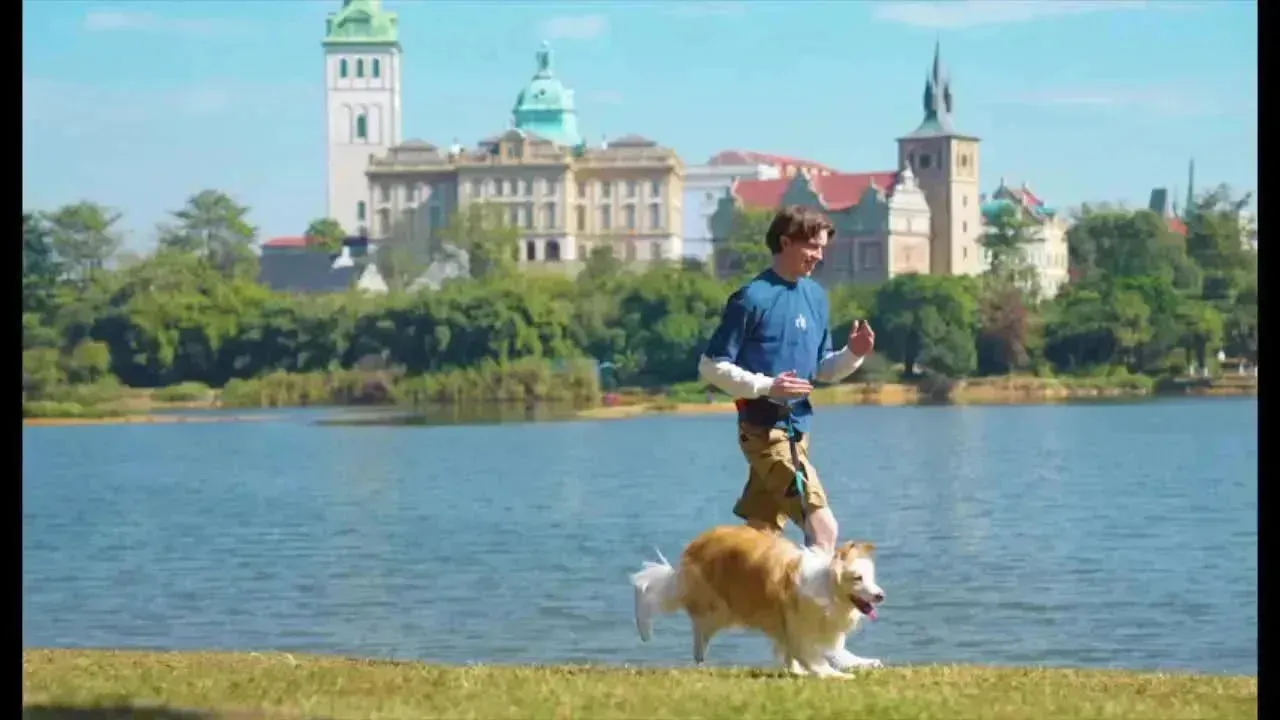 Hands-Free Dog Leash with Zipper Pouch, Dual Handles, and Bungee