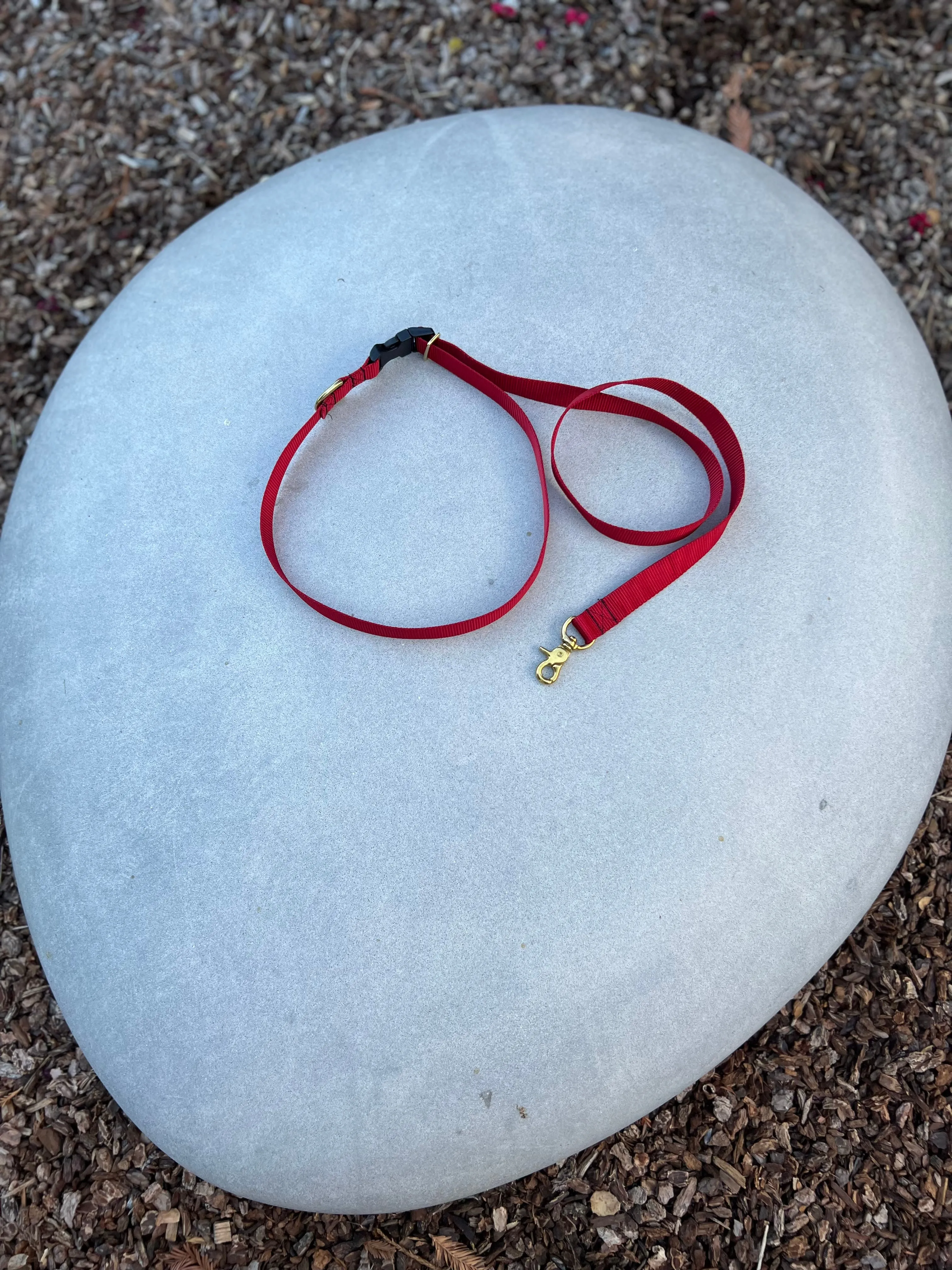 Hands-Free Waist Leash