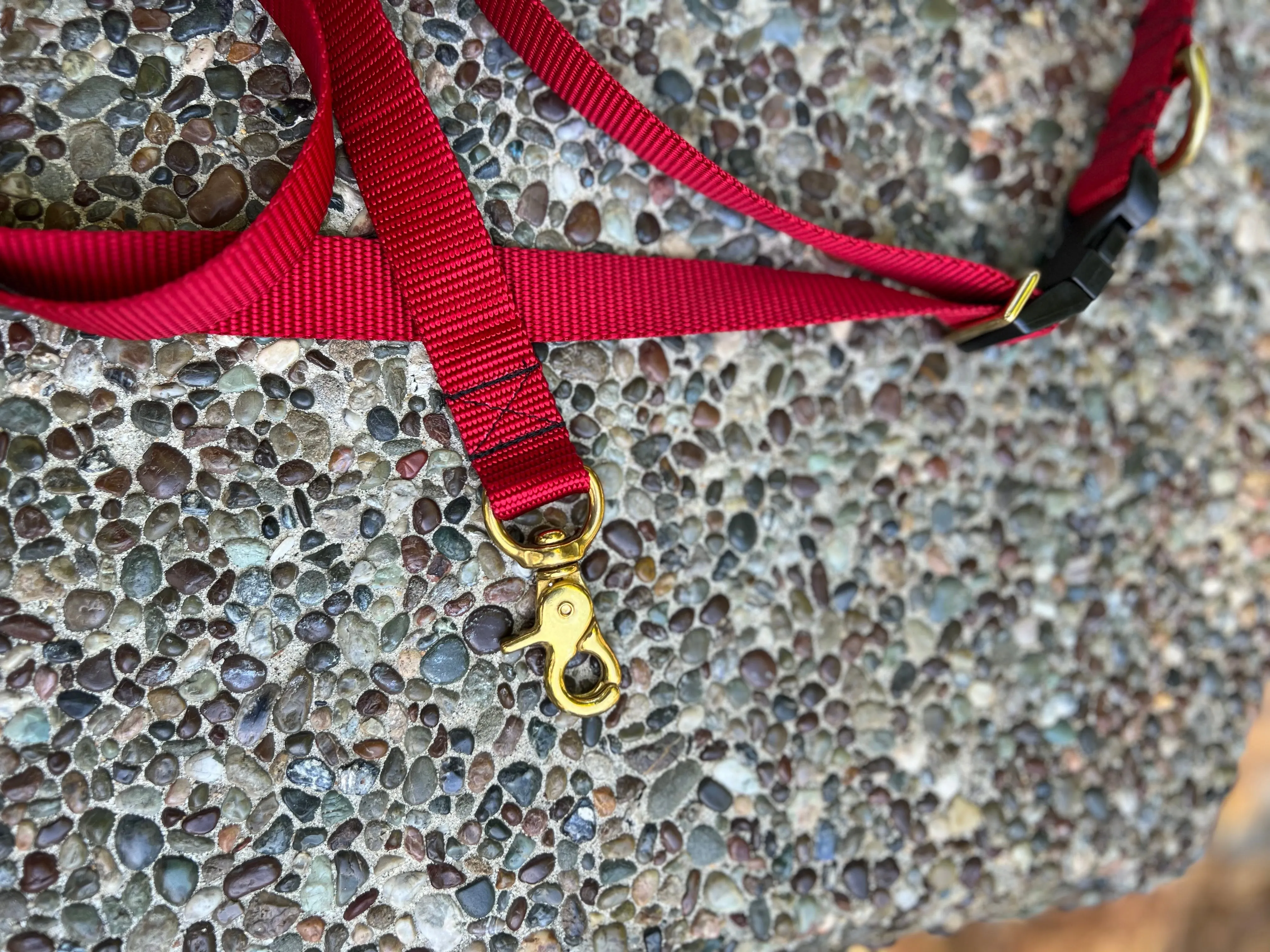 Hands-Free Waist Leash