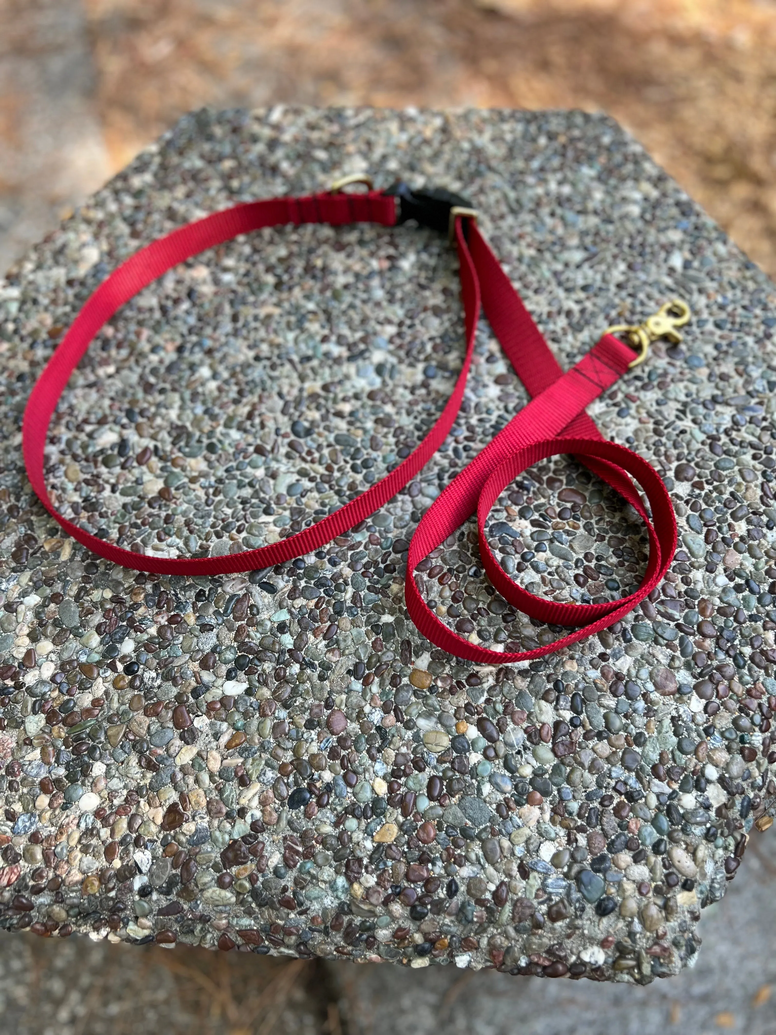 Hands-Free Waist Leash