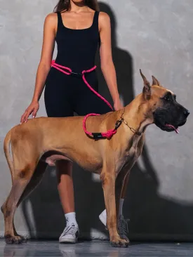 Retro Pink Running Hands-Free Dog Leash