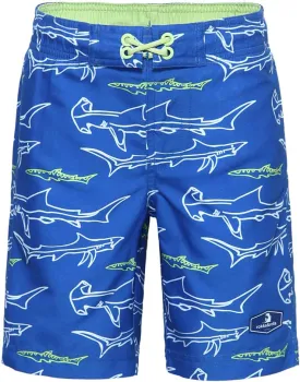 Rokka&Rolla Boys' Swim Trunks UPF 50  Quick Dry Bathing Suit Swimwear Beach Shorts with Mesh Lining
